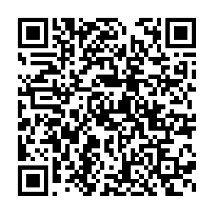 那就是许紫烟他们这些圣级大修士这次去陨石带探索花费了时间太长了二维码生成