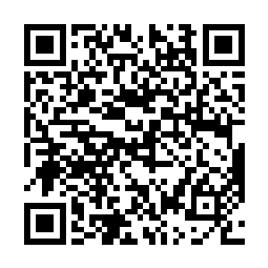 那就是这个号称拥有着智能人脑的感应系统瘫痪了……二维码生成