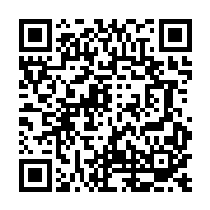 那就是这个大修士是一直被困在七情塔内的远古大修士二维码生成