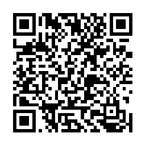 那就是这个李耀根本没有对每一枚法宝构件进行仔细清理二维码生成