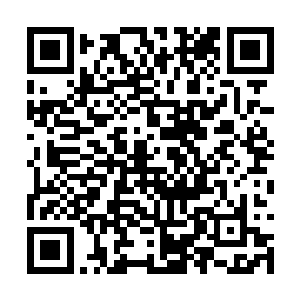 那就是那个年轻的英雄根本就不信任法国的防爆箱二维码生成