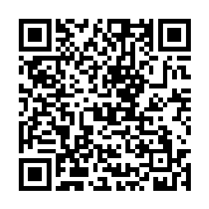 那就是那强者是如何绕过八名护卫直接杀掉马龙的二维码生成