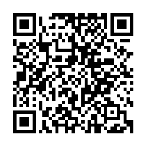 那就是靠他最近的楚芸萱……楚芸萱这几天的状态有点不太好二维码生成