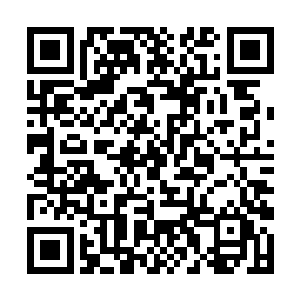 那就是飞扬嚣张佻脱之下隐藏着的真正热血青春自我二维码生成