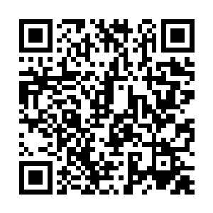 那就是g监狱所有预警全部因为窒息死在了广场上二维码生成