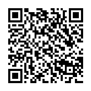 那就由她这个做母亲的来帮助他们记住这些美妙的时刻二维码生成