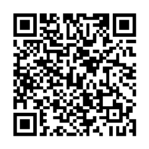 那就索性大大方方的让调查组分别走几个区都去看一看二维码生成