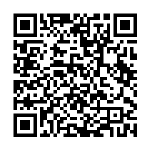 那就要让他们领教一下力道蛊仙变化道蛊仙的厉害了二维码生成