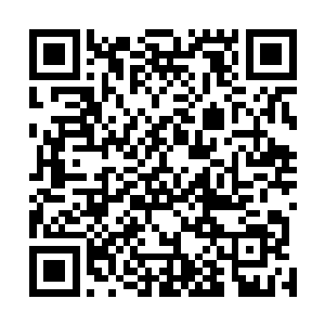 那就让本王见识见识你白彪大王的最强最厉害的手段如何二维码生成