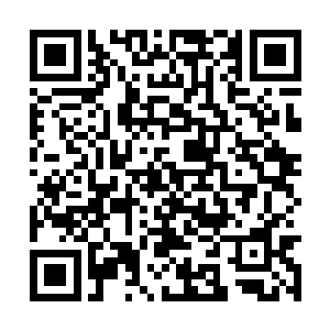 那就证明谢无双已经不甘心让大龙县的那位驱策了二维码生成