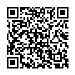 那就说明这种东西注定了就要以你为介现于天下二维码生成