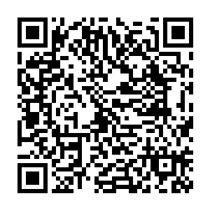 那就足以吸引到那类不愿去或者不被有名悟道仙山看上的仙人们的兴致二维码生成