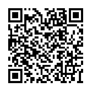 那屏幕上就立刻显现出了一串飞快跳动的数字来二维码生成