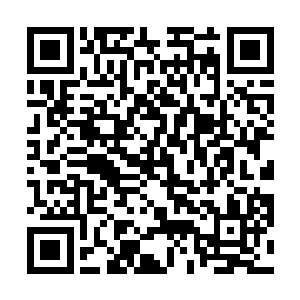 那岂不是……所有人都知道她对蛇毒一点儿反应都没有二维码生成