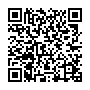 那岂不是说他蛇哥敲竹杠敲到了人家杨爷的头上吗二维码生成