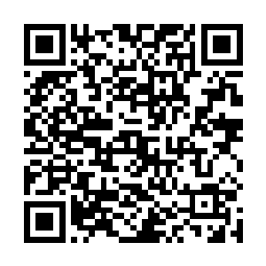 那岂不是说他那里也不会有什么增加实力的宝贝灵果了二维码生成