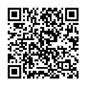 那岂不是说夏界主绝对有逐鹿羿界域域主之位的资格二维码生成