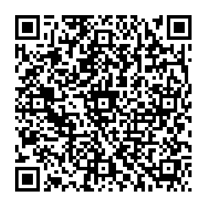 那岂不是说实力比当今皇帝水无痕还要厉害一筹的太子殿下是这位举霞后期境界的夏云杰教导出来的二维码生成