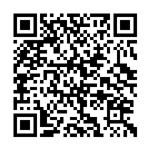 那巨大无匹的王级墨巢更是给人极大的视觉冲击二维码生成