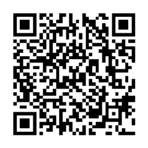 那巨大的棺材的棺材盖在这一刹那却是缓缓地移动二维码生成