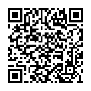 那巨大的火鸟金乌顿时想要翻身把大家都抖下去二维码生成