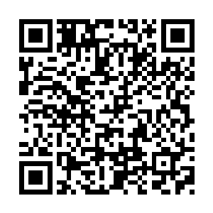 那巨大的身躯投入现场立即掀起了一番腥风血雨二维码生成