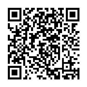 那巨大的青色光芒赫然是一面古朴无比的青色巨盾二维码生成