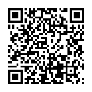 那巨龟带着它的子女们也是一同进入了小世界当中二维码生成