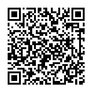 那已经深受重创的雷火冰血蜈的眼中也顿时浮现出一丝惊喜和感动之色二维码生成