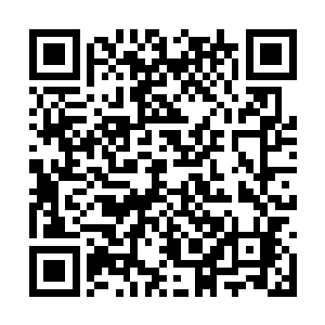 那布满了诡异纹路的暗金色盒子也再度浮现了出来二维码生成