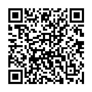那席卷而来的黑色冲击波也狠狠撞击在了这翠竹之上二维码生成