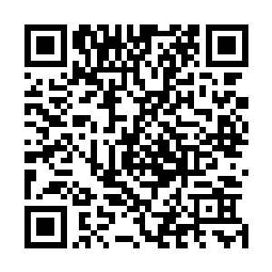 那帮小喽啰一定会想出无数好办法让两个倒霉的家伙闭嘴的二维码生成