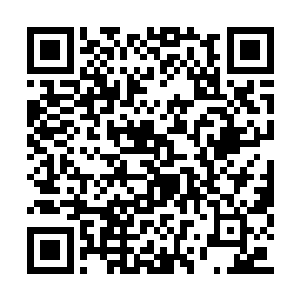 那帮青云盟的老家伙还不把他当成小白鼠来研究二维码生成