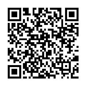 那幅被士兵踩了又踩的秦芳图也被小熊收起来带上了二维码生成