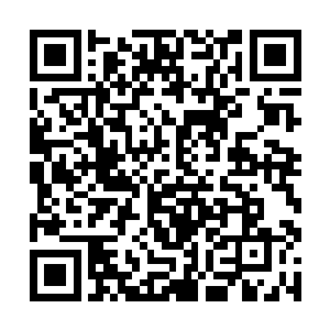 那年江凡尘随着师傅茅山派掌门人董天成去皇宫驱鬼二维码生成