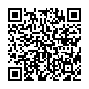 那年轻女子怀中的婴孩此刻已经停止了哭声正死盯着那年轻女子二维码生成