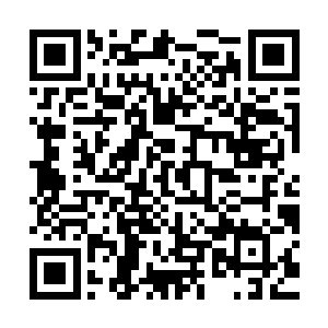 那年轻女子还笑着说她的孩子咬伤了空姐回头定要让他爸爸揍他二维码生成