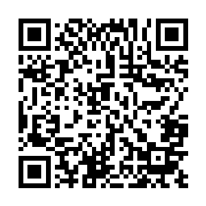 那应该是梅雷迪斯一莫利斯和她母亲凯瑟琳的专属牌子二维码生成