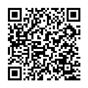 那应该是90年时候自己毕业回来之后和他在195厂大门前的合拍二维码生成