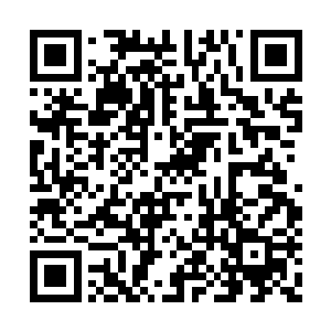 那庞大的虫群就在那元气手掌之中疯狂的挣扎着二维码生成