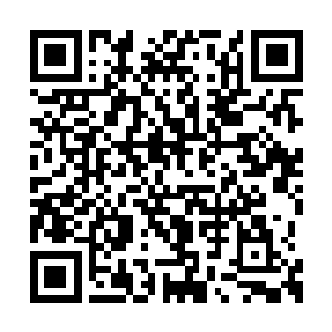 那座石像的拳头居然在苏阳河的冲击下爆裂开来二维码生成