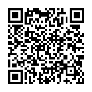 那张中箭之后的狰狞面孔也逐渐变得柔和了起来二维码生成