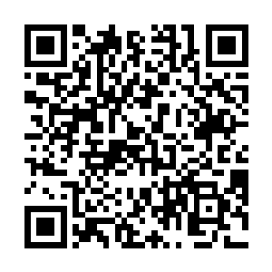 那张俊美得不似真人的脸上露出了一丝近乎无奈的笑意二维码生成