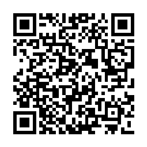 那张娇嫩妩媚的绝世容颜在火红色的火翼照耀下二维码生成