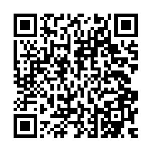 那张带着好奇与清纯还有杀伐果断的面容与眼神瞬间坍塌消失二维码生成