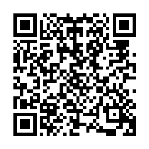 那张惶急的面孔和对自己怨恨的表情活灵活现的呈现在他的面前二维码生成