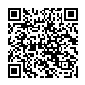 那张憨厚的脸似乎在一瞬间变成一张几位凶恶阴毒的脸二维码生成