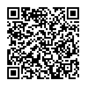 那张文远不会是以为就凭他那些兵马就能抵挡住我军近十万大军吧二维码生成