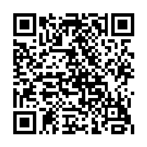 那张枯槁威严的沧桑脸庞上像是每一条皱纹缝隙二维码生成