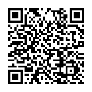 那张潇晗和她的灵武电宗就要好好联络一下感情了二维码生成